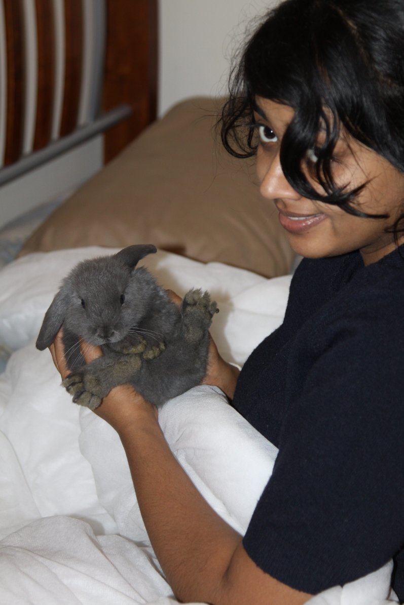 Very first picture I took of him. The day we brought him 16-04-2011